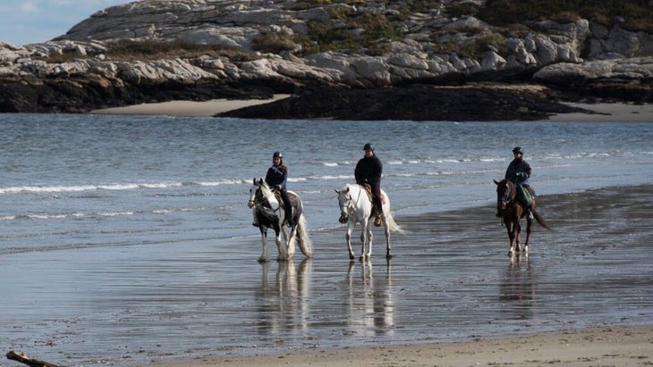 Three riders atop their own horse, sauntering along the beach