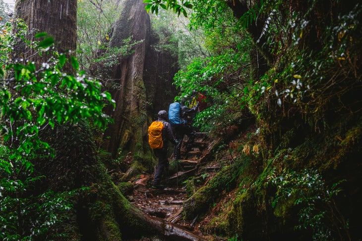 Hiking in Japan