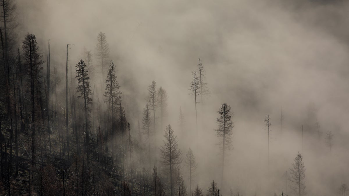 Congress Won’t Touch the Climate Disaster. How Is President Biden Intervening?
