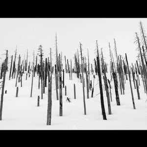 The Blackcountry Journal