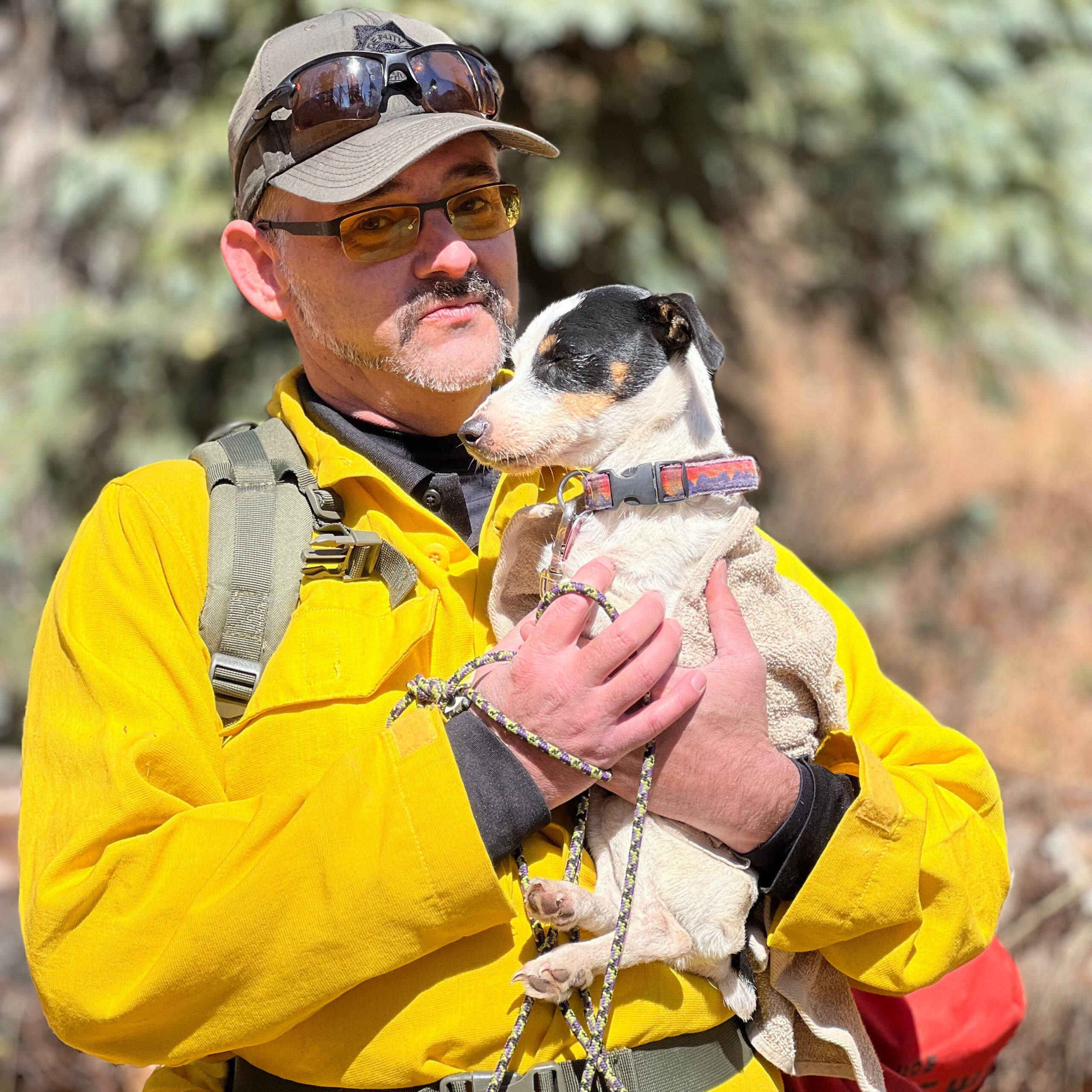 A Hiker and a Terrier Climbed a Peak. The Dog Came Home 72 Days Later.