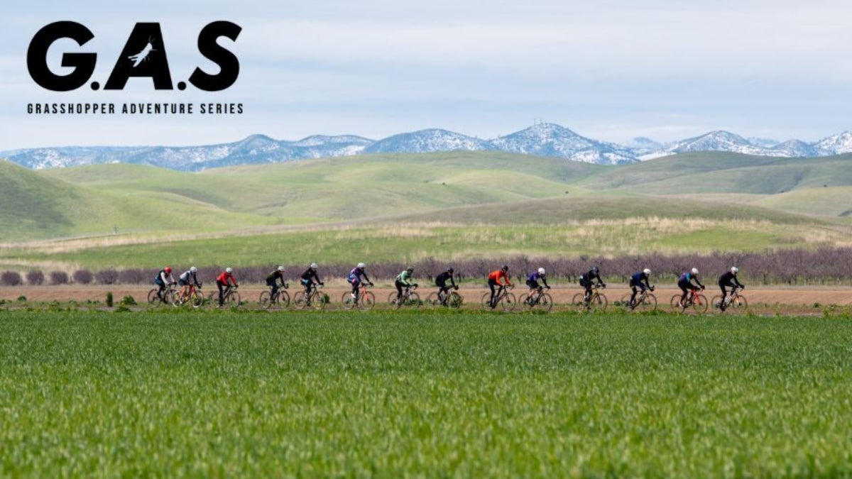 Discover the Grasshopper ϳԹ Series: A Pioneer in Gravel/Mixed Terrain ϳԹs