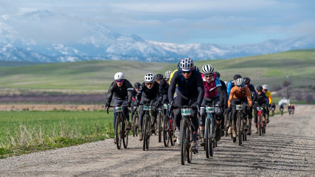 The Grasshopper Adventure Series