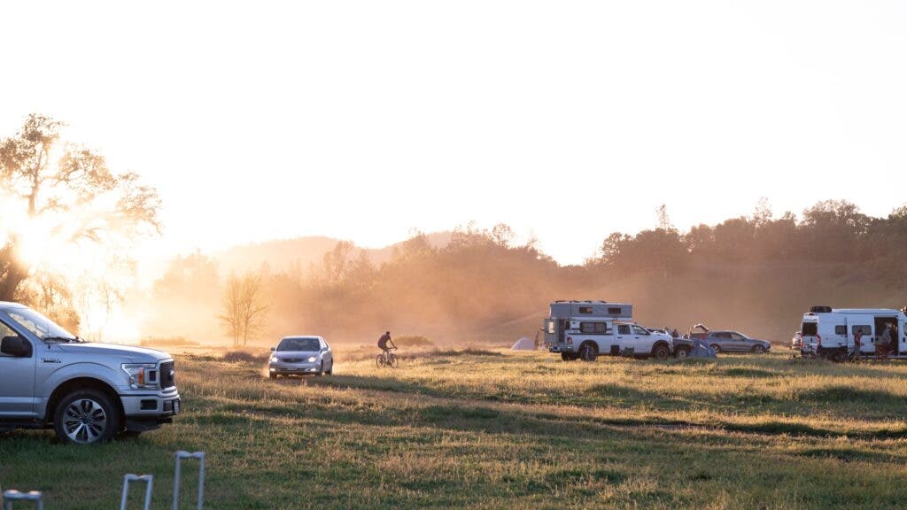 Grasshopper Adventure Series