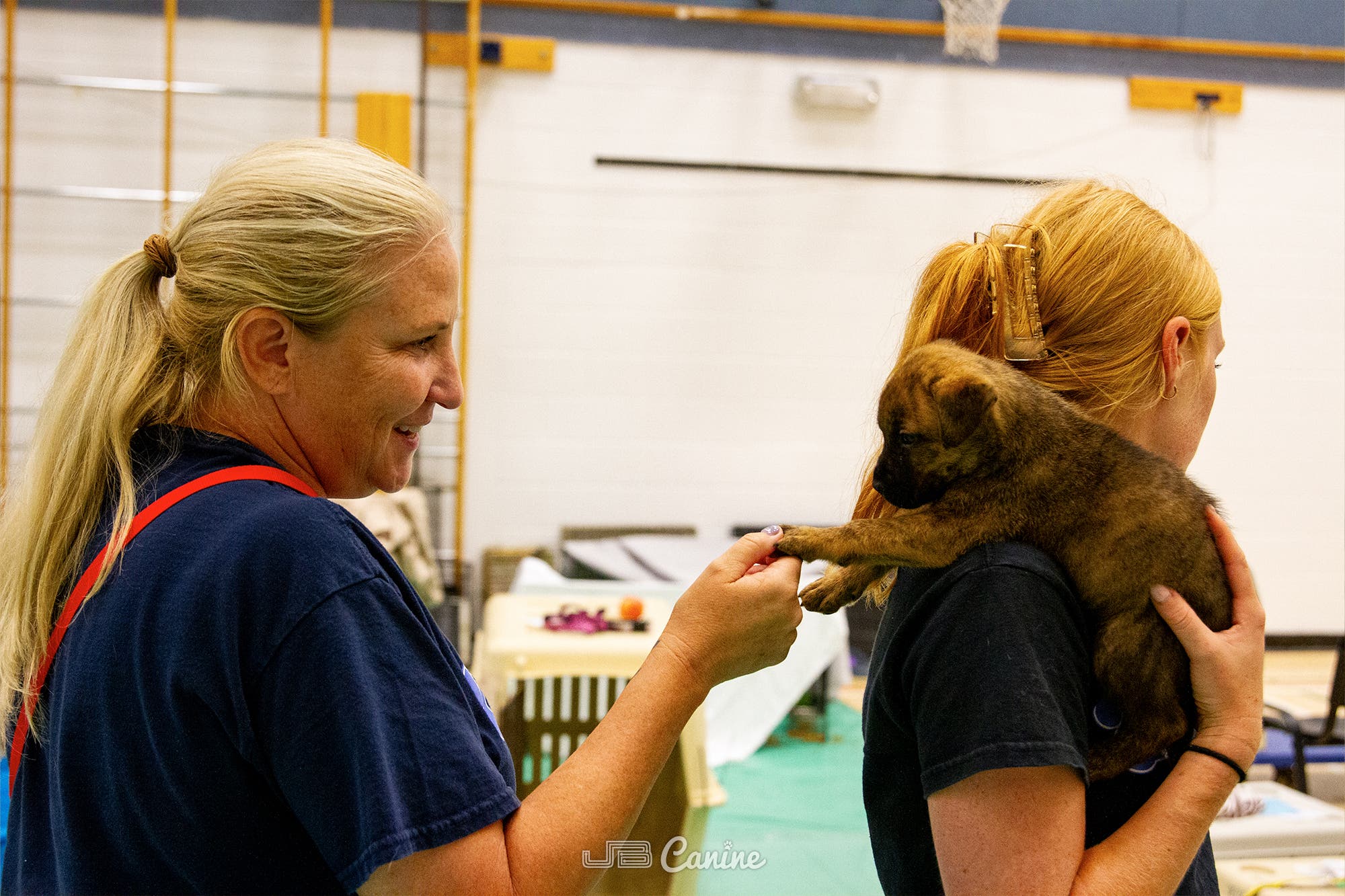 Manitoba Underdogs Rescue