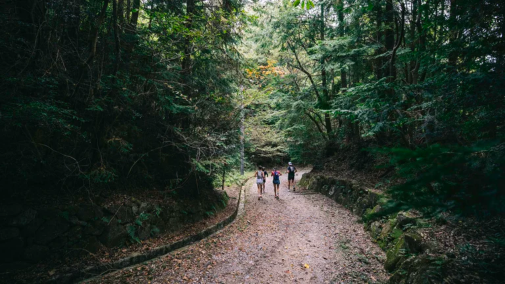 Trail running in Japan