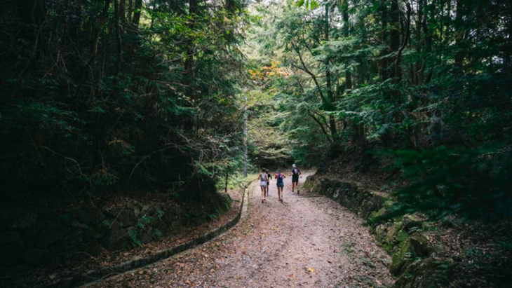 Trail running in Japan