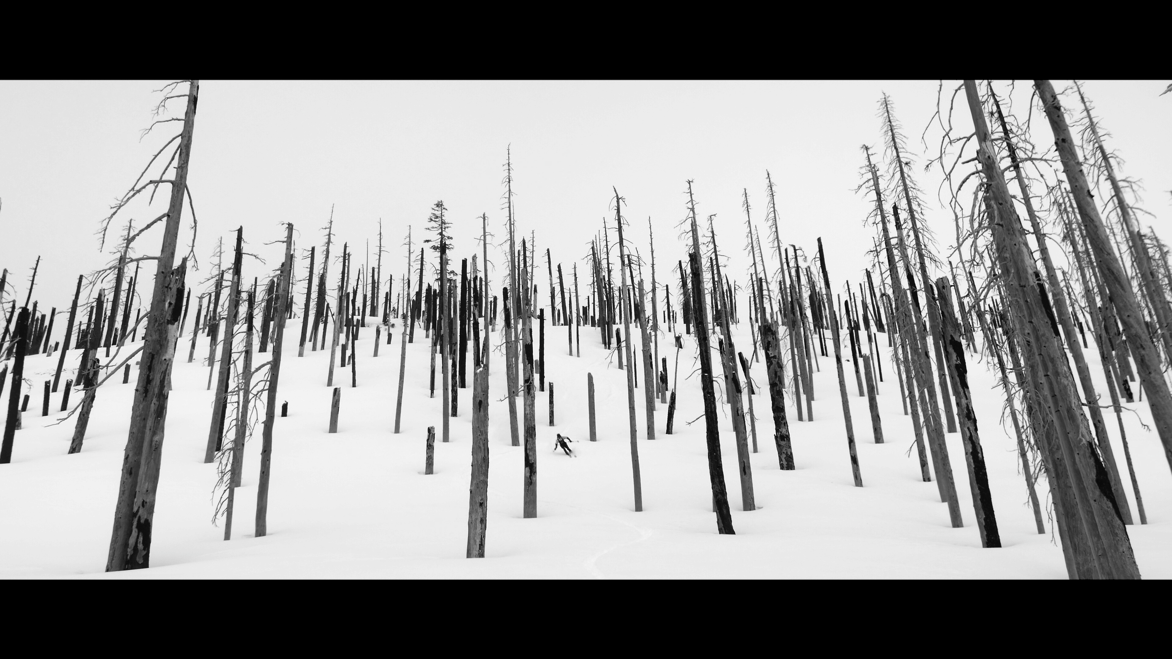 The Blackcountry Journal