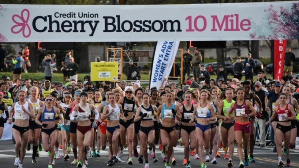 Cherry Blossom 10 Mile