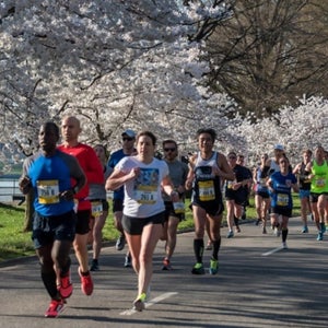 Cherry Blossom 10 Mile