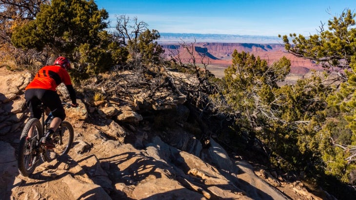 A mountain biker descends a trail through pines with an incredible vista of the canyons of Utah in the distance