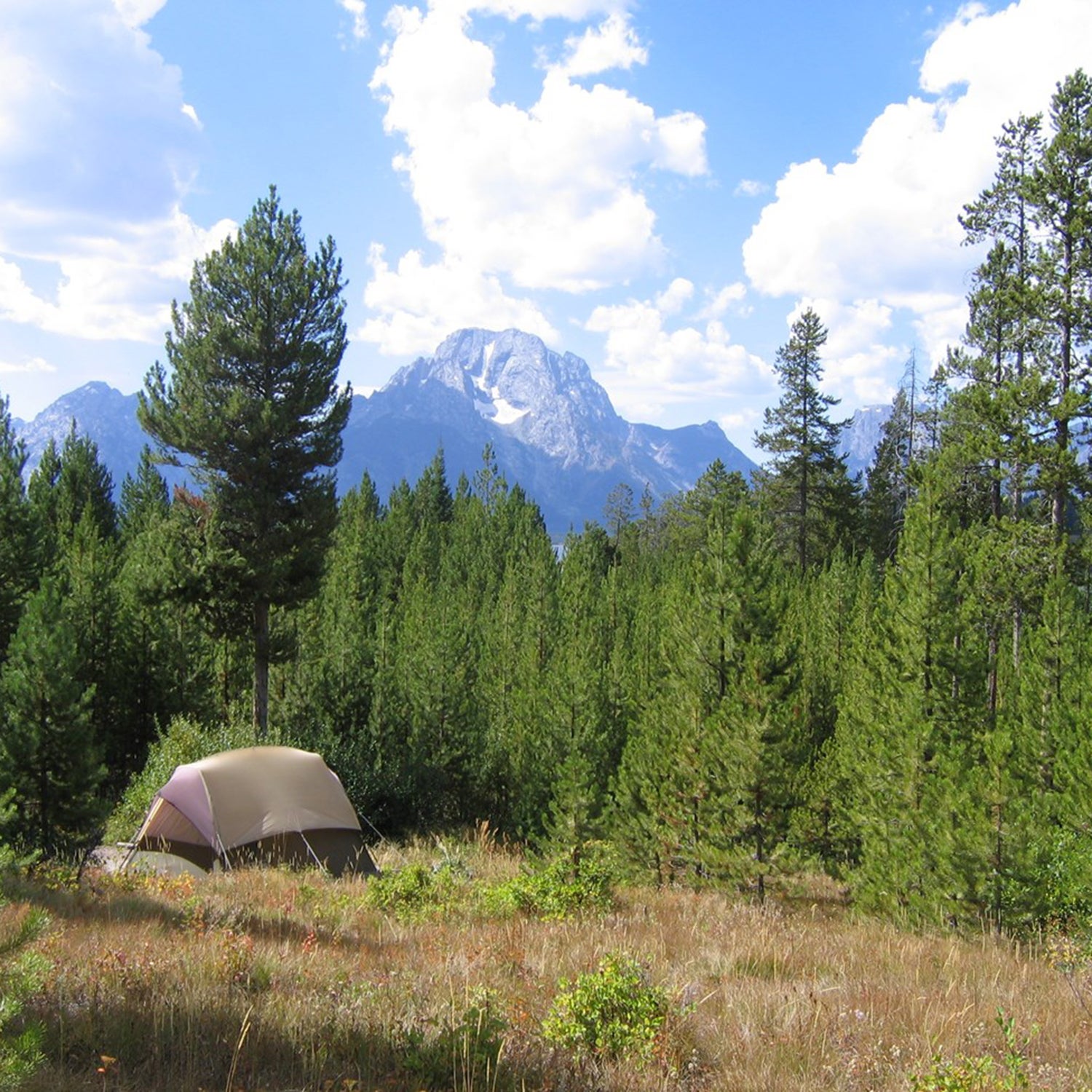 How to Book the Best Campsites in National Parks