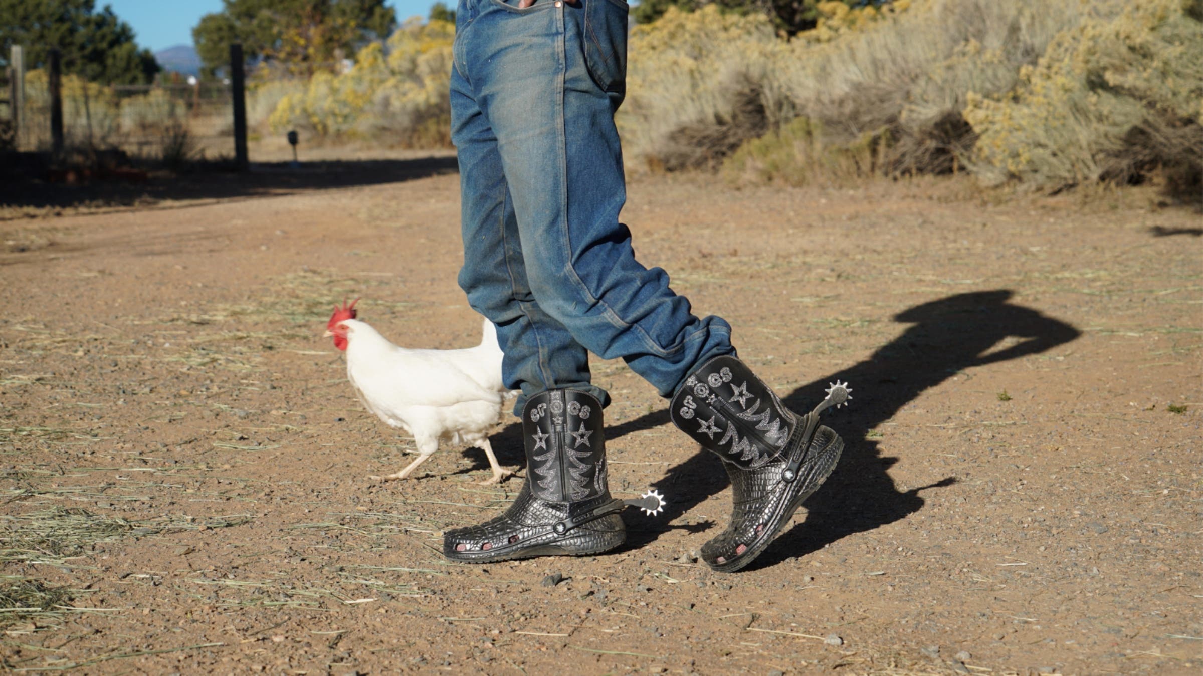 A chicken and a man walk in the dirt. The man wears Croc cowboy boots.