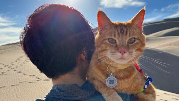 A man holding a cat (wearing a collar and a leash) as the owner hikes up a massive sand dune