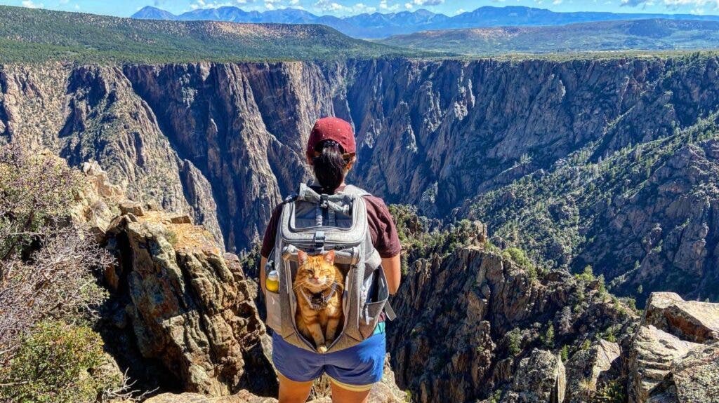 A woman looking over a huge gorge and in her backpack, looking at the viewer, is her orange cat
