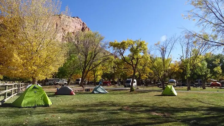 Fruita Campground Capitol Reef