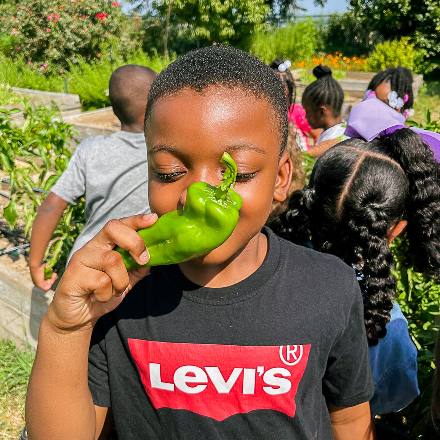 child holding a pepper in a garden