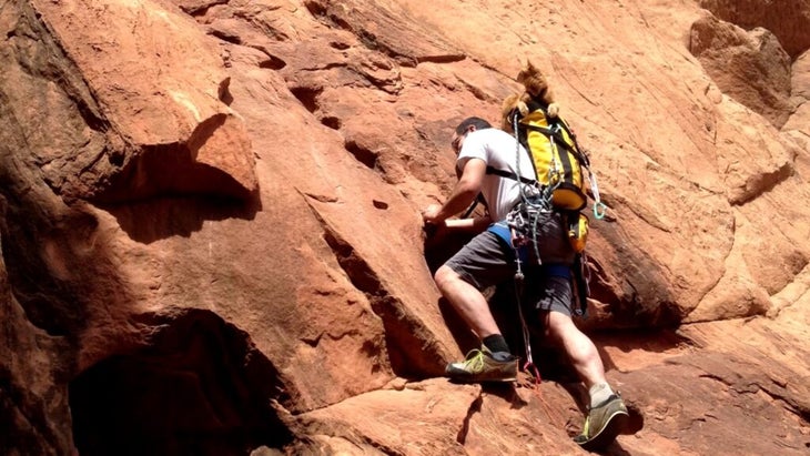 A man rock-climbing and atop his backpack is a cat, who is looking up at the face
