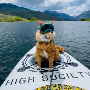 A cat wearing special goggles is sitting on the front of a paddle board on a lake, with the mountains in the background.