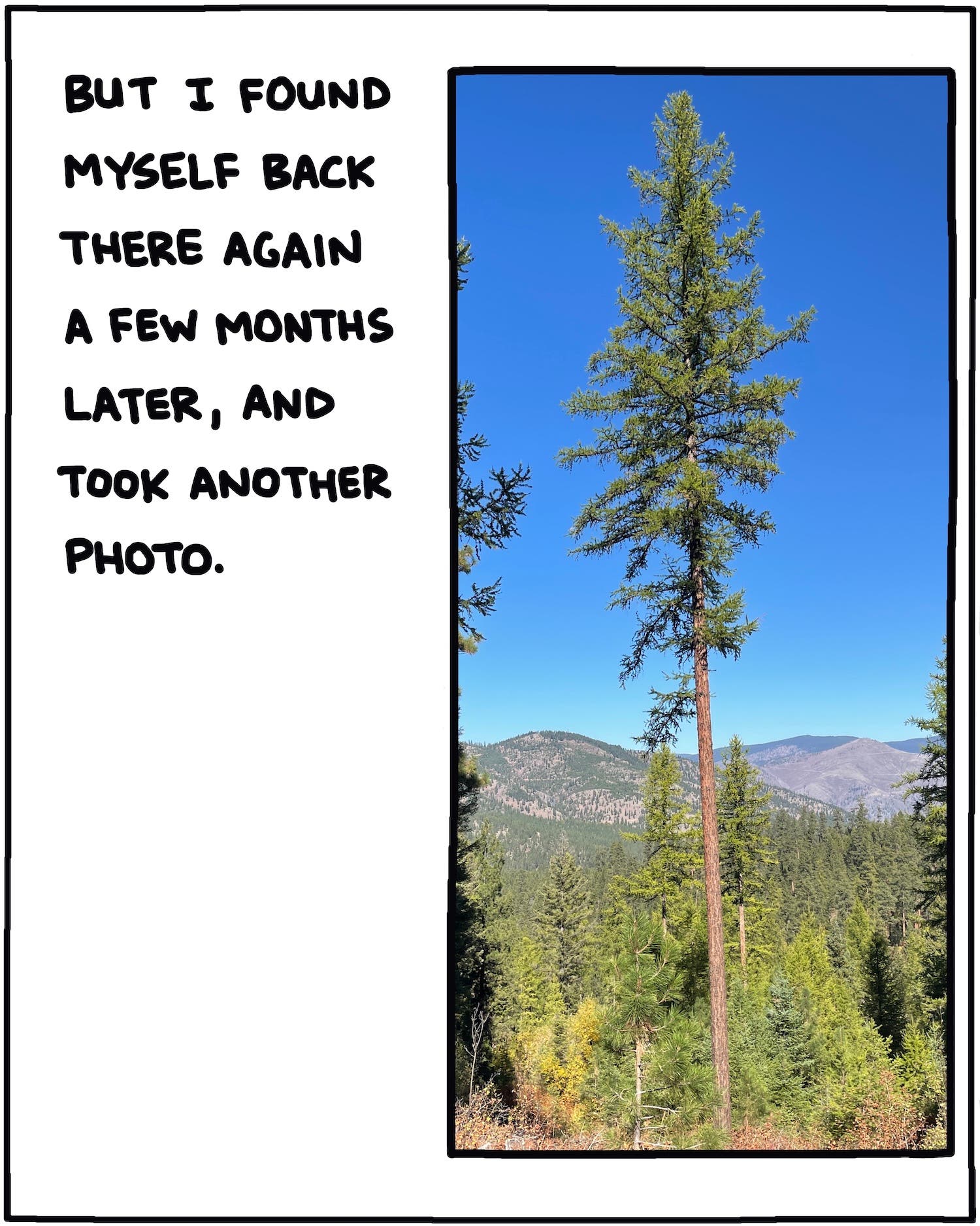 But I found myself back there again a few months later, and took another photo.