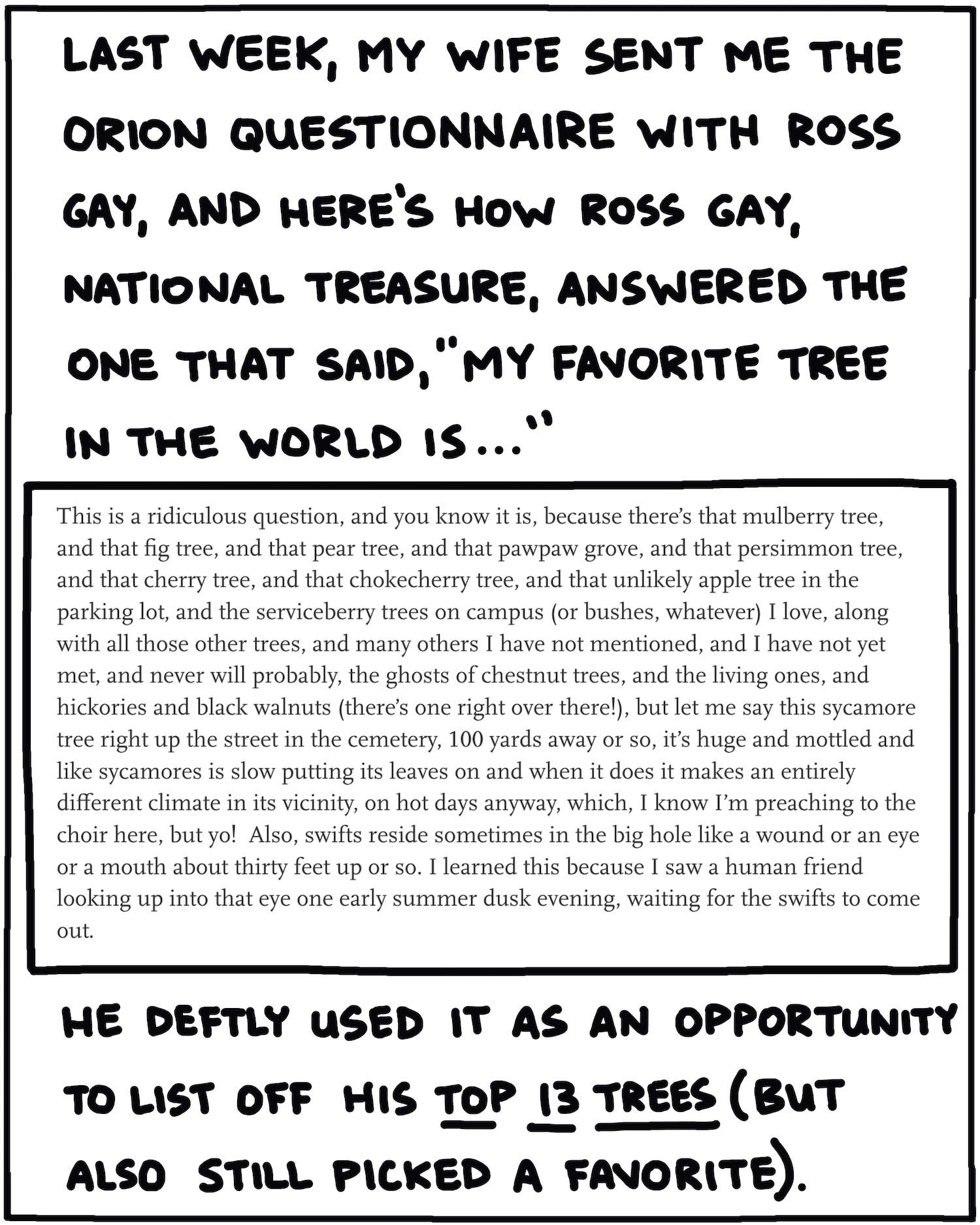 Last week, my wife sent me the Orion Questionnaire with Ross Gay, and here's how Ross Gay, National Treasure, answered the one that said, "My favorite tree in the world is ..." This is a ridiculous question, and you know it is, because there’s that mulberry tree, and that fig tree, and that pear tree, and that pawpaw grove, and that persimmon tree, and that cherry tree, and that chokecherry tree, and that unlikely apple tree in the parking lot, and the serviceberry trees on campus (or bushes, whatever) I love, along with all those other trees, and many others I have not mentioned, and I have not yet met, and never will probably, the ghosts of chestnut trees, and the living ones, and hickories and black walnuts (there’s one right over there!), but let me say this sycamore tree right up the street in the cemetery, 100 yards away or so, it’s huge and mottled and like sycamores is slow putting its leaves on and when it does it makes an entirely different climate in its vicinity, on hot days anyway, which, I know I’m preaching to the choir here, but yo! Also, swifts reside sometimes in the big hole like a wound or an eye or a mouth about thirty feet up or so. I learned this because I saw a human friend looking up into that eye one early summer dusk evening, waiting for the swifts to come out. He deftly used it as an opportunity to list off his top 13 trees (but also still picked a favorite).