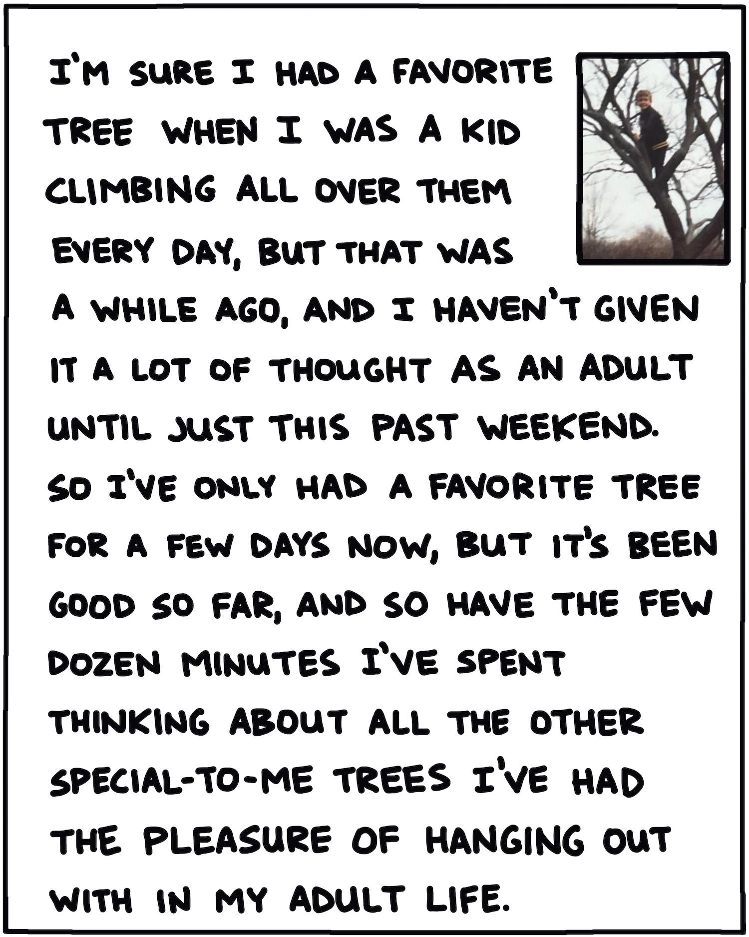 I’m sure I had a favorite tree when I was a kid climbing all over them every day, but that was a while ago, and I haven’t given it a lot of thought as an adult until just this past weekend. So I’ve only had a favorite tree for a few days now, but it’s been good so far, and so have the few dozen minutes I’ve spent thinking about all the other special-to-me trees I’ve had the pleasure of hanging out with in my adult life.