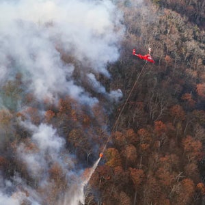 Shenandoah fires close trails