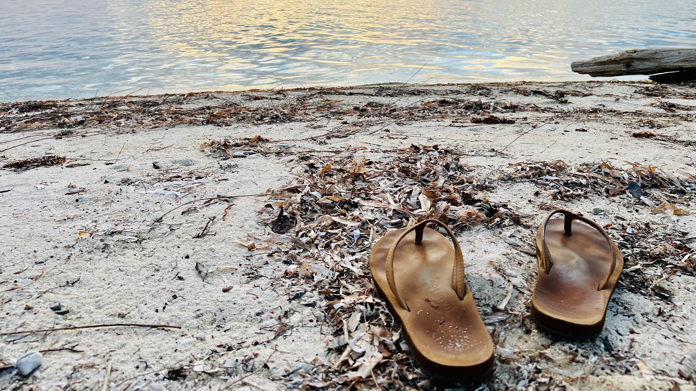 The beachfront at sunset