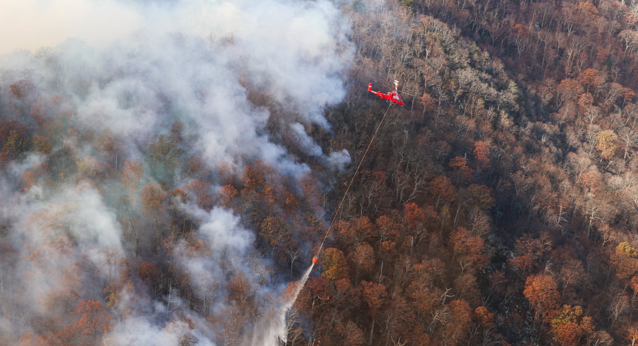 Shenandoah fires close trails