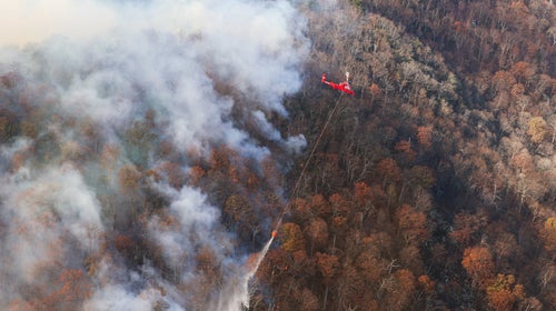 Shenandoah fires close trails