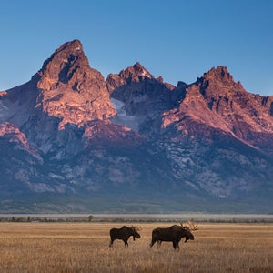 A view of the Grand Tetons.