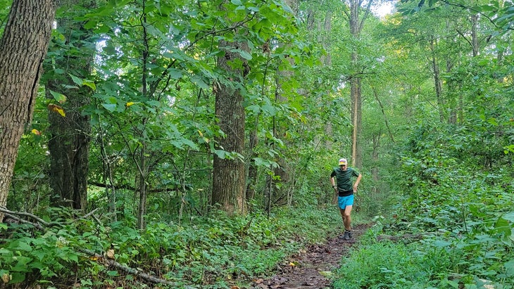 trail running in the Nantahala National Forest