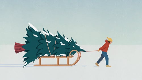 illustration of a shrunken person dragging a large christmas tree on a sled