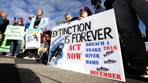 Activists hold signs supporting orca whales during a news conference about the declining population of endangered orcas that frequent Washington state waters, Friday, Oct. 28, 2016, in Seattle