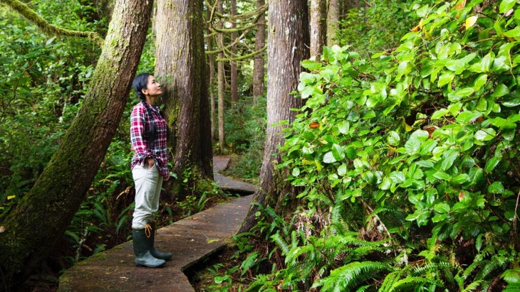 A girl looking up at the tall trees in Pacific Rim National Park Reserve