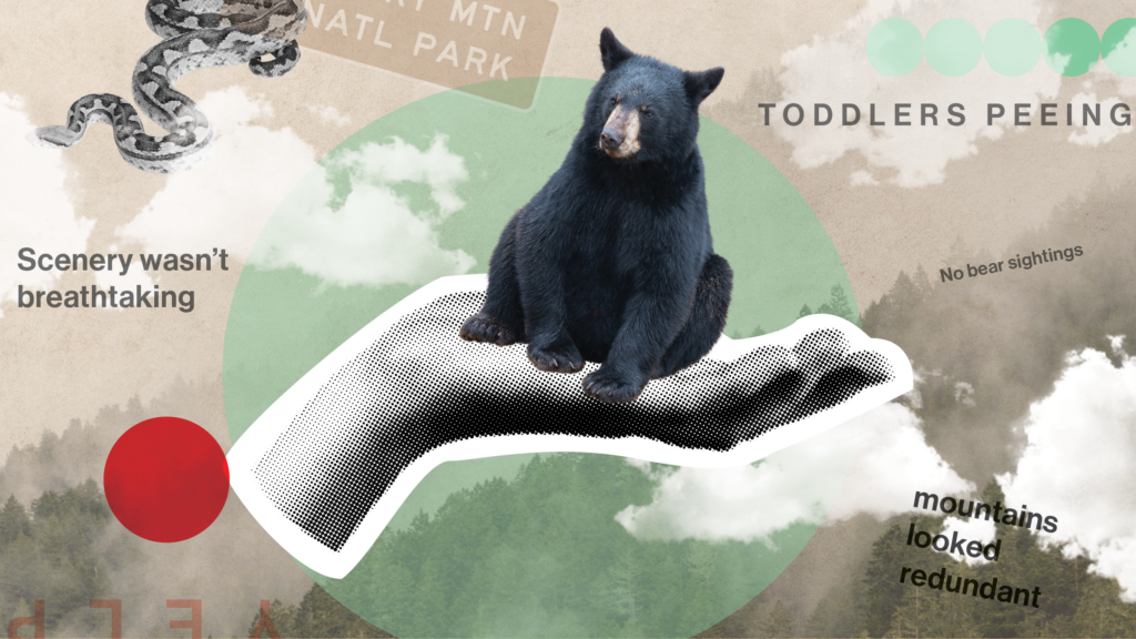 bears and bad reviews in national parks