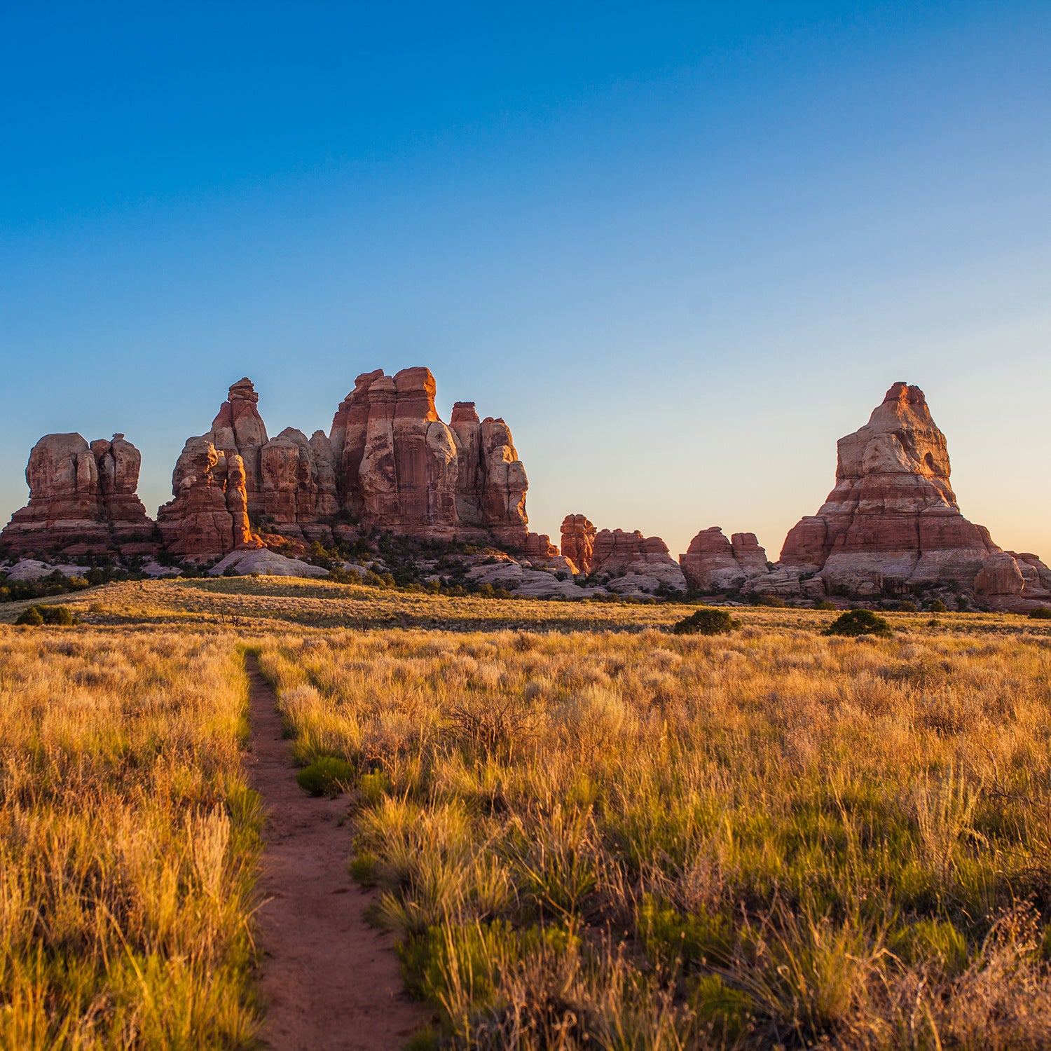 Trail into the needle formations at Chesler Park, Needles District, Canyonlands National Park