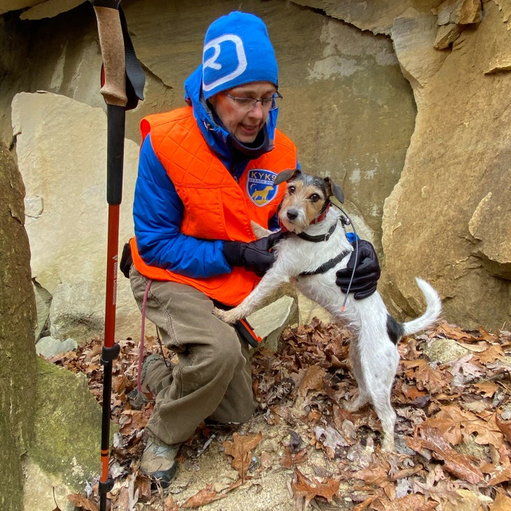 pocket the rescue dog. the terrier alerts at a rescue scene.