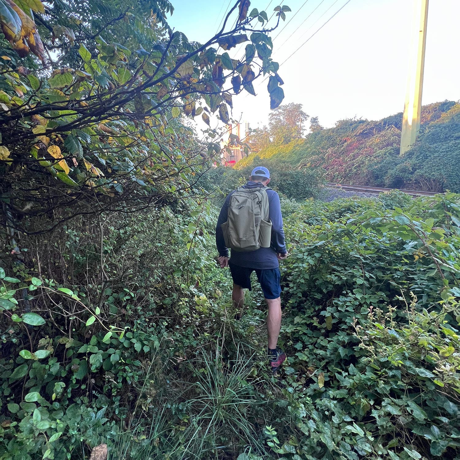 A man hikes away from the camera through summertime greenery with no visible trail through