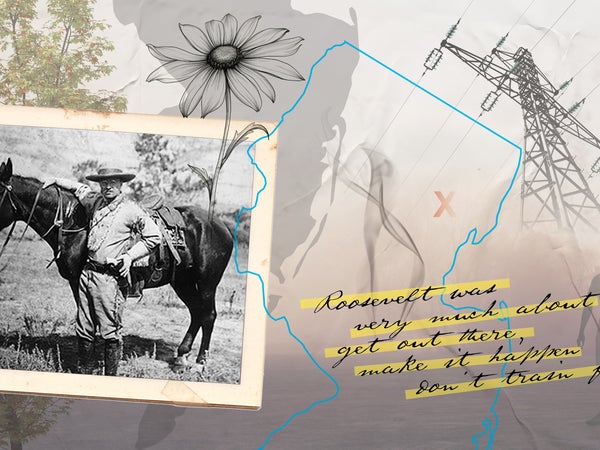 Theodore Roosevelt photo illustration