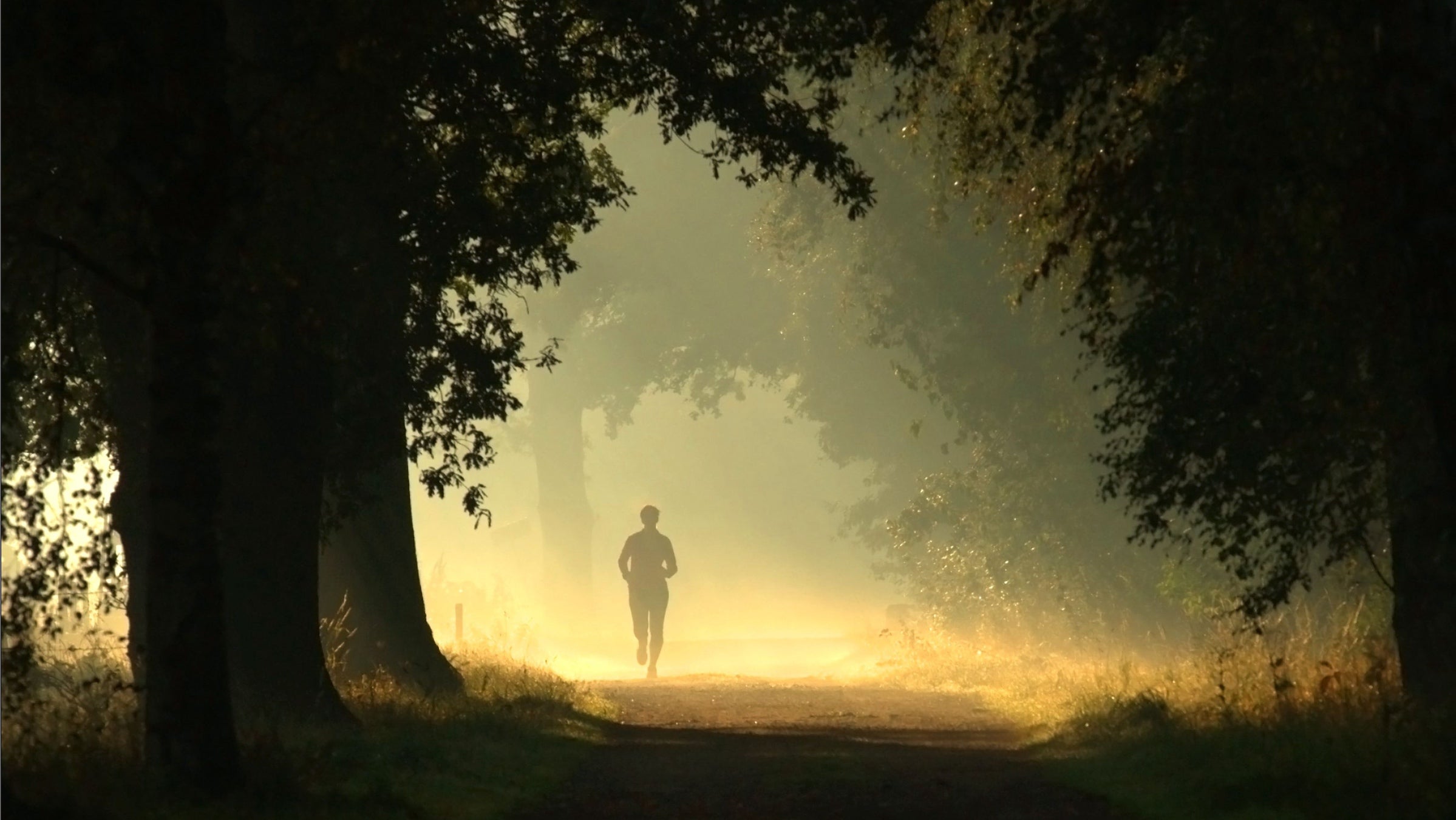 A woman runs on a misty trail in the forest at dawn