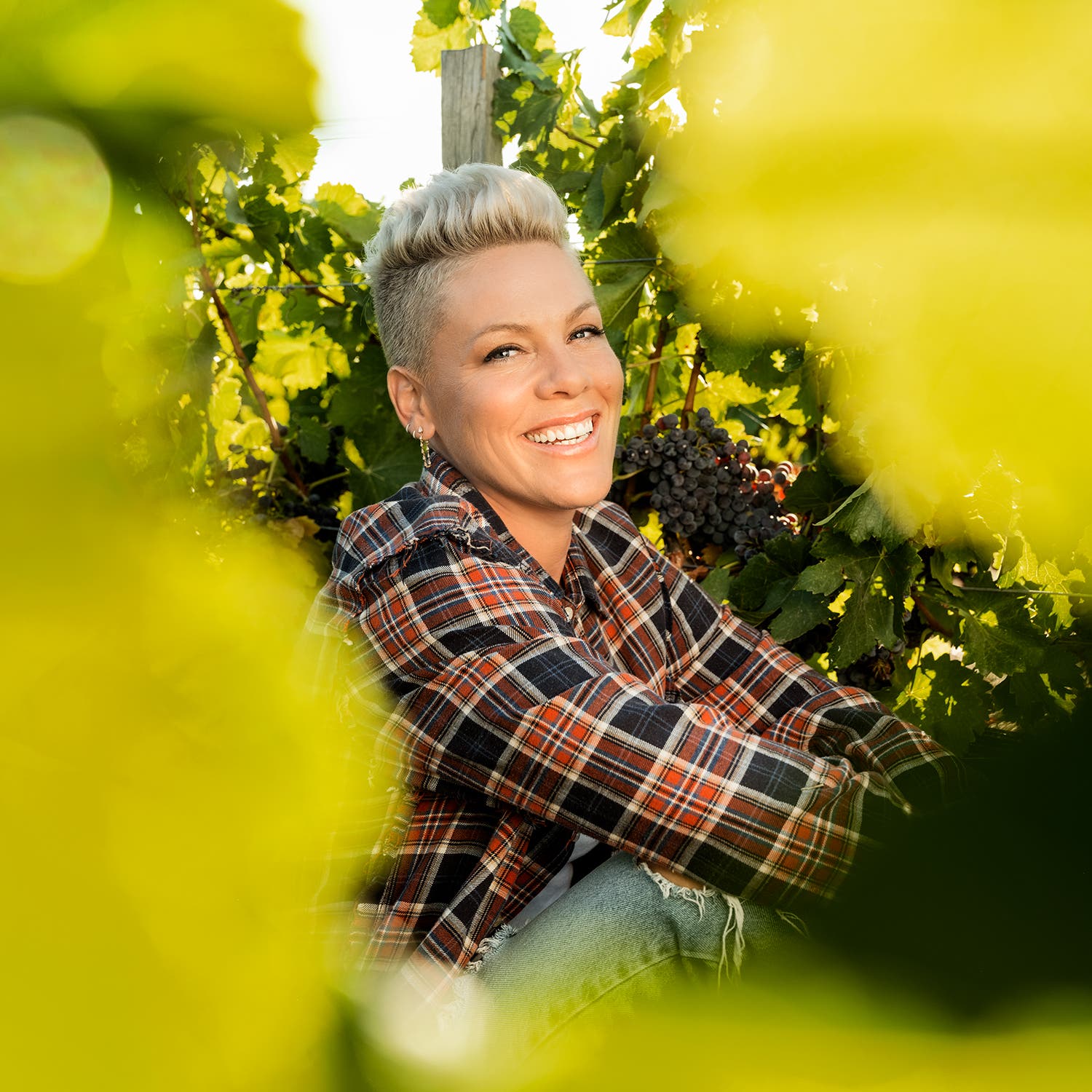 Scene from Pink's Southern California vineyard