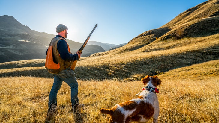 Cairo hunting pheasant near the Snake River in Idaho