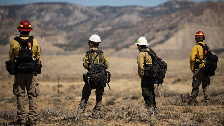 Wildland firefighters overlooking a training exercise in Fruita, CO.