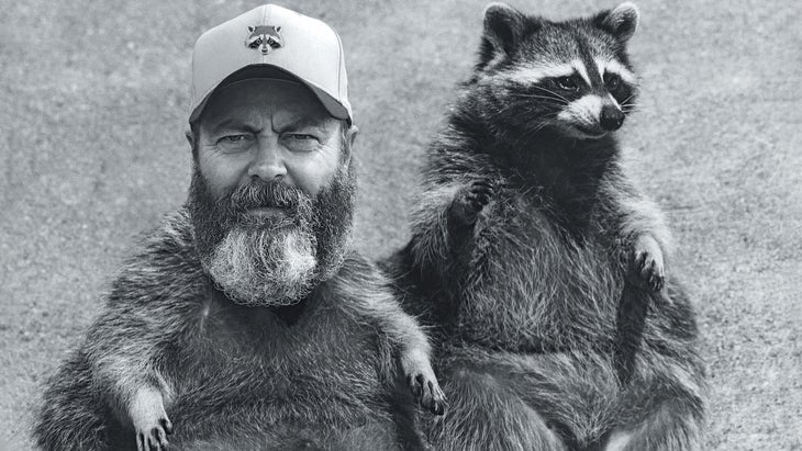 Photo illustration of Nick Offerman as a raccoon