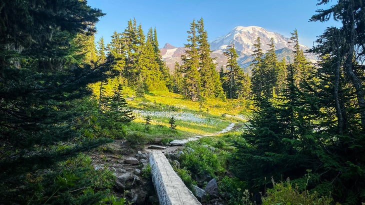 Trail Leading to Spray Park, Mount Rainier