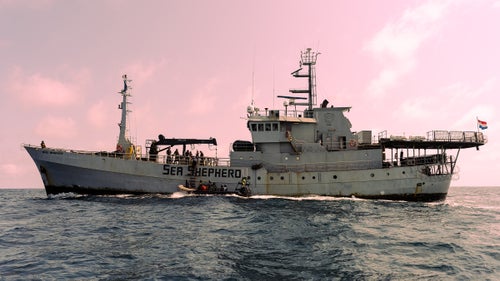 Sea Shepherd Changes Course