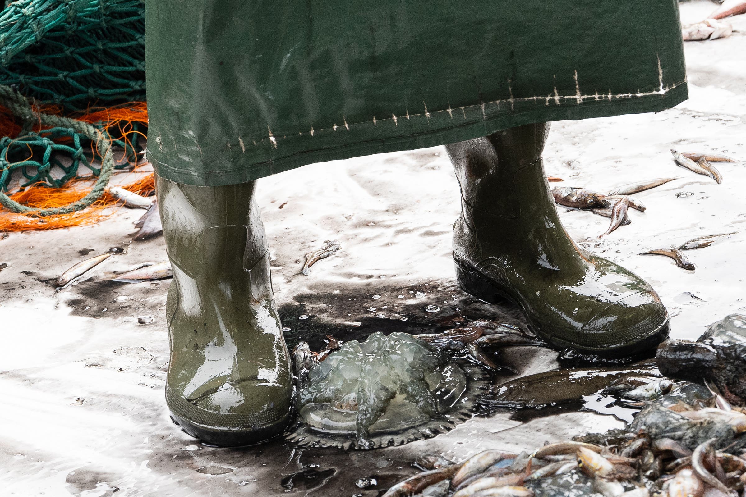 A fishermans boots near some bycatch jellyfish