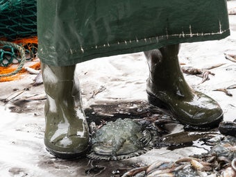A fishermans boots near some bycatch jellyfish