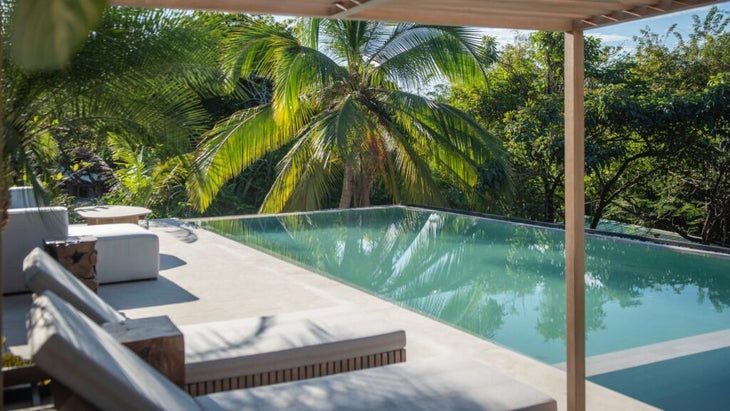 rectangular rooftop pool at Silvestre with soft lounge chairs and a palm tree